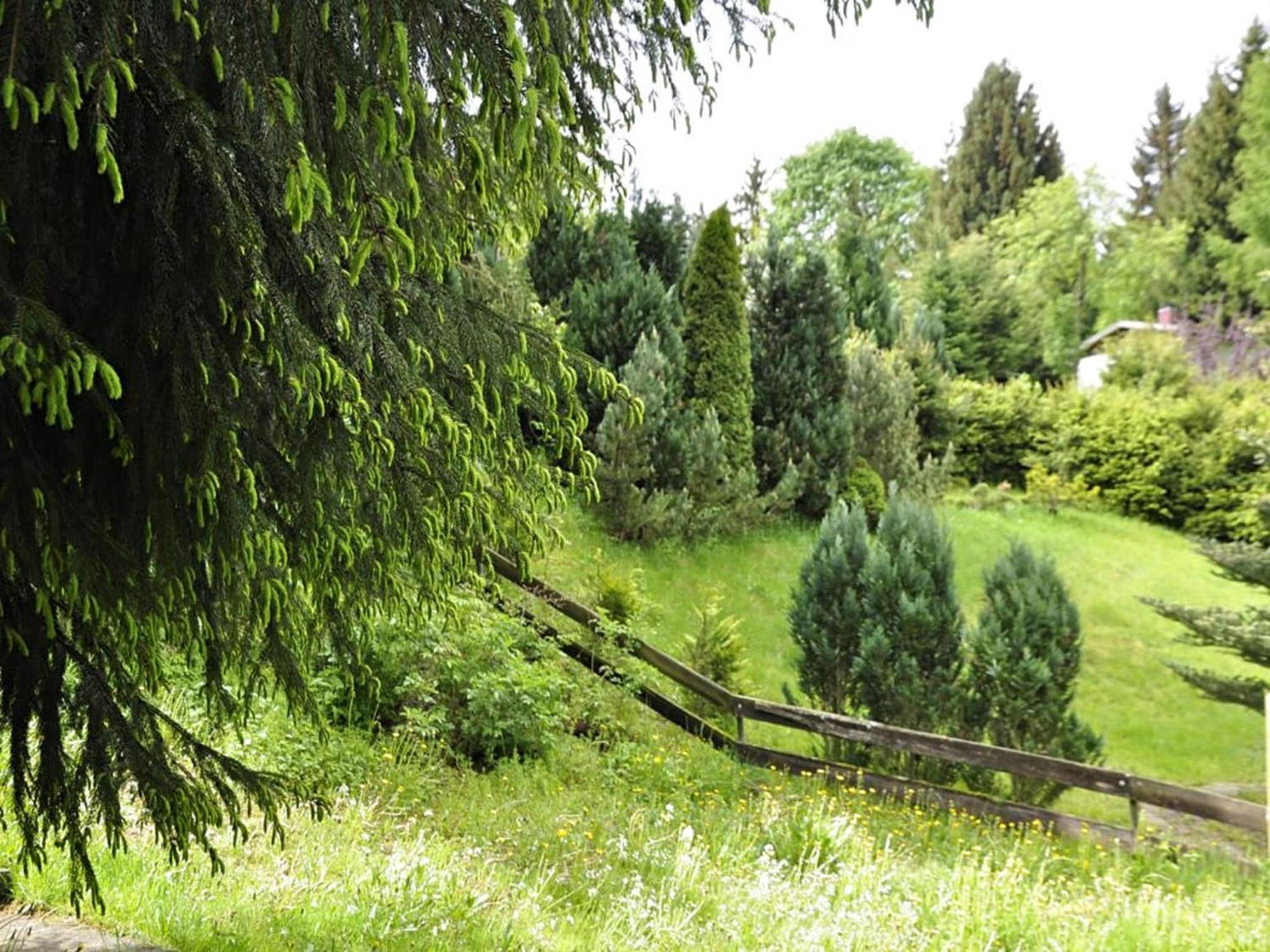 Comely Holiday Home In G Ntersberge Near Forest Güntersberge エクステリア 写真