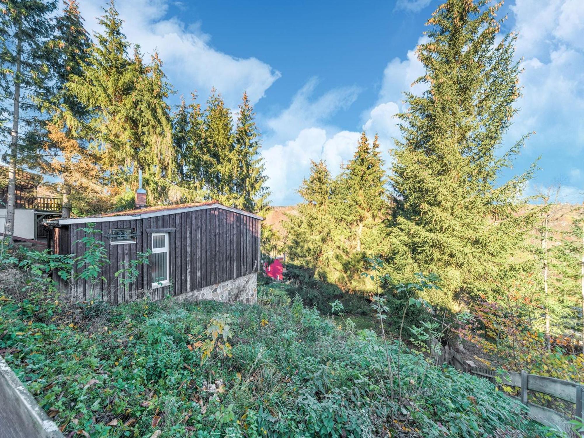 Comely Holiday Home In G Ntersberge Near Forest Güntersberge エクステリア 写真